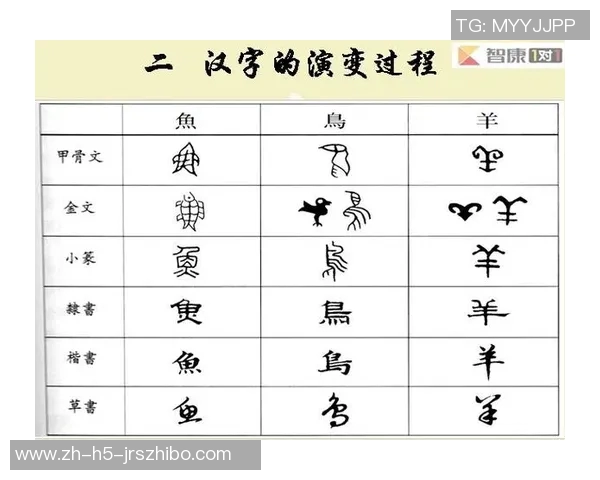 足球队名字的由来与文化背景探讨:从历史到现代的演变与影响 足球队名字的由来与文化背景探讨:从历史到现代的演变与影响